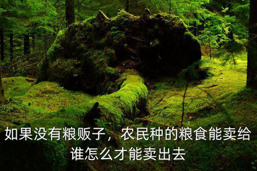 如果沒有糧販子，農(nóng)民種的糧食能賣給誰怎么才能賣出去