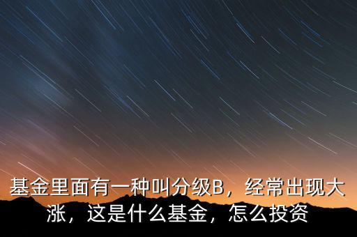 基金里面有一種叫分級B，經常出現大漲，這是什么基金，怎么投資