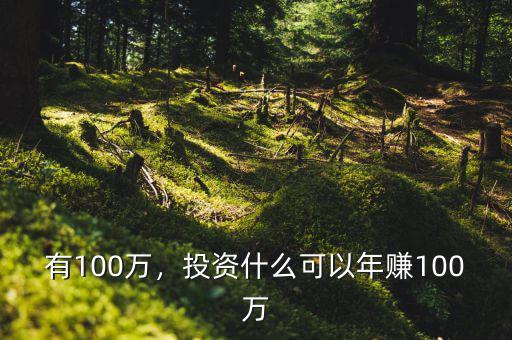 有100萬，投資什么可以年賺100萬