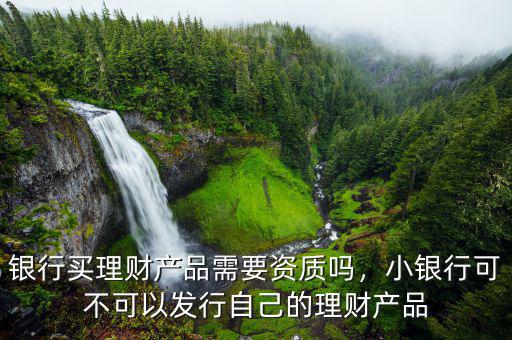 銀行買理財產(chǎn)品需要資質(zhì)嗎，小銀行可不可以發(fā)行自己的理財產(chǎn)品