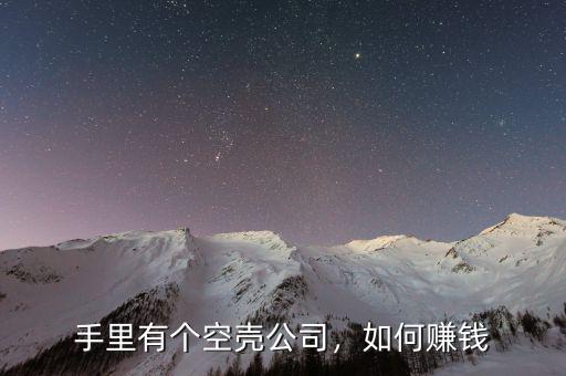 手里有個空殼公司，如何賺錢