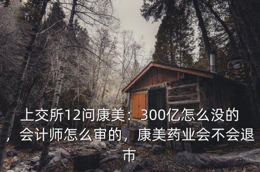 上交所12問康美：300億怎么沒的，會(huì)計(jì)師怎么審的，康美藥業(yè)會(huì)不會(huì)退市