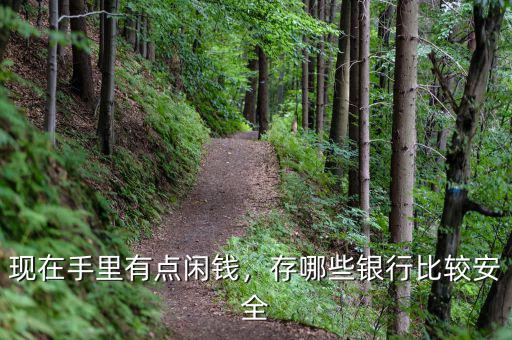 現(xiàn)在手里有點(diǎn)閑錢(qián)，存哪些銀行比較安全