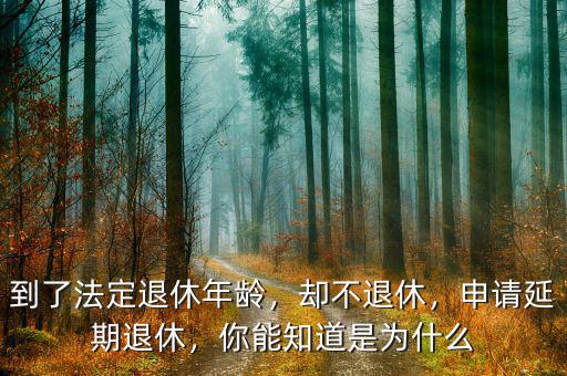 到了法定退休年齡，卻不退休，申請延期退休，你能知道是為什么