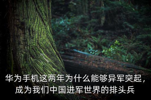 華為手機(jī)這兩年為什么能夠異軍突起，成為我們中國進(jìn)軍世界的排頭兵