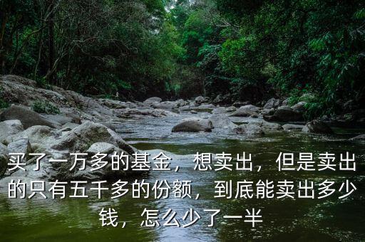 買(mǎi)了一萬(wàn)多的基金，想賣出，但是賣出的只有五千多的份額，到底能賣出多少錢(qián)，怎么少了一半