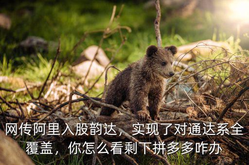 網(wǎng)傳阿里入股韻達(dá)，實(shí)現(xiàn)了對(duì)通達(dá)系全覆蓋，你怎么看剩下拼多多咋辦