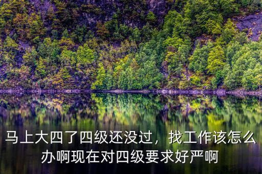 馬上大四了四級(jí)還沒過，找工作該怎么辦啊現(xiàn)在對(duì)四級(jí)要求好嚴(yán)啊
