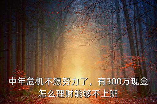 中年危機(jī)不想努力了，有300萬現(xiàn)金怎么理財(cái)能夠不上班