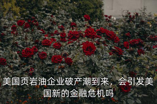 美國頁巖油企業(yè)破產(chǎn)潮到來，會(huì)引發(fā)美國新的金融危機(jī)嗎