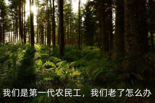 我們是第一代農(nóng)民工，我們老了怎么辦