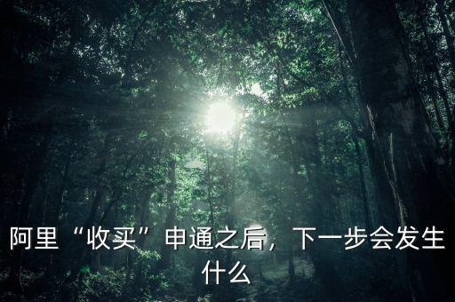 阿里“收買”申通之后，下一步會發(fā)生什么
