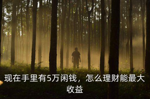 現(xiàn)在手里有5萬閑錢，怎么理財(cái)能最大收益