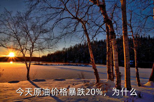 今天原油價(jià)格暴跌20%，為什么
