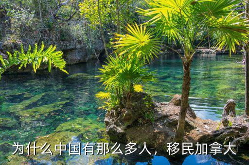 為什么中國有那么多人，移民加拿大