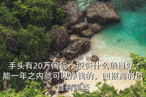手頭有20萬閑錢，投資什么項目好，能一年之內(nèi)就可以掙錢的，回報高的項目有哪些