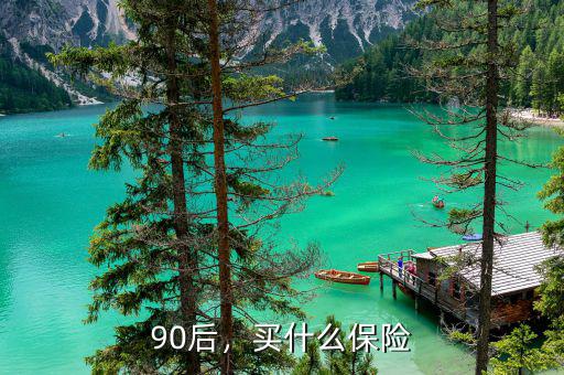 90后，買什么保險