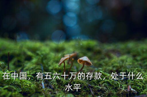 在中國，有五六十萬的存款，處于什么水平