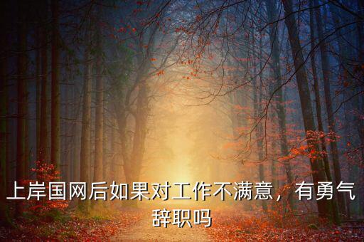 上岸國網(wǎng)后如果對(duì)工作不滿意，有勇氣辭職嗎