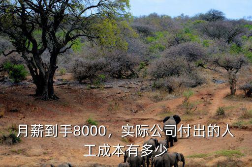 月薪到手8000，實際公司付出的人工成本有多少