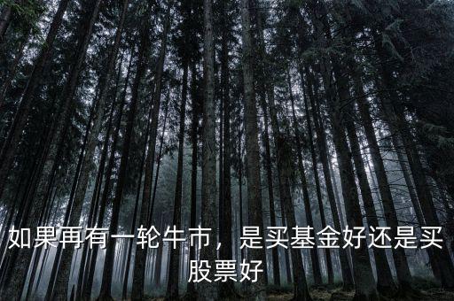 如果再有一輪牛市，是買基金好還是買股票好