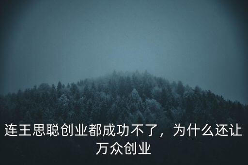 連王思聰創(chuàng)業(yè)都成功不了，為什么還讓萬眾創(chuàng)業(yè)