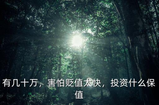有幾十萬(wàn)，害怕貶值太快，投資什么保值