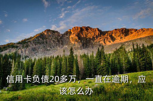 信用卡負(fù)債20多萬，一直在逾期，應(yīng)該怎么辦