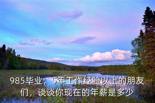985畢業(yè)，5年工作經(jīng)驗(yàn)以上的朋友們，談?wù)勀悻F(xiàn)在的年薪是多少