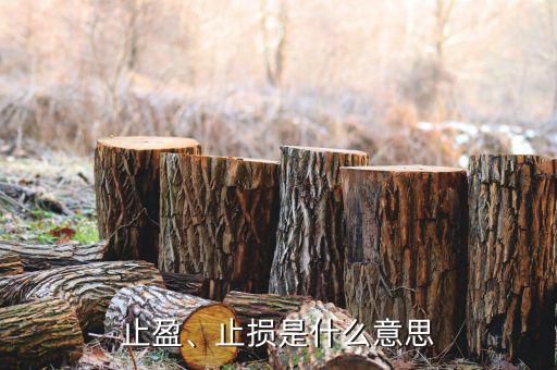 止盈、止損是什么意思