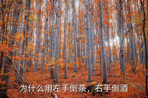 為什么用左手倒茶，右手倒酒
