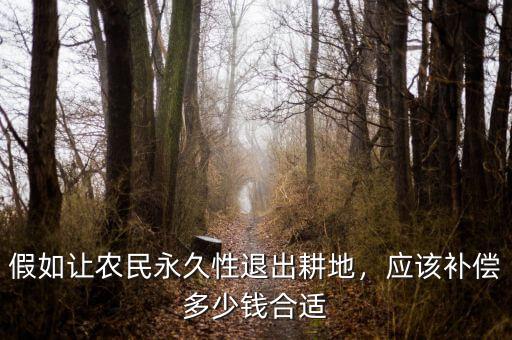 農(nóng)民退出承包地給多少錢(qián),應(yīng)該補(bǔ)償多少錢(qián)合適