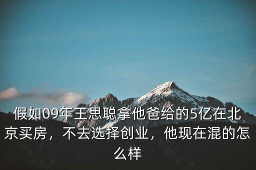 假如09年王思聰拿他爸給的5億在北京買(mǎi)房，不去選擇創(chuàng)業(yè)，他現(xiàn)在混的怎么樣
