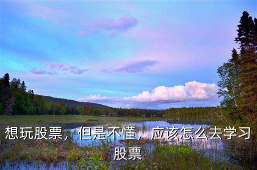 想玩股票，但是不懂，應(yīng)該怎么去學(xué)習(xí)股票