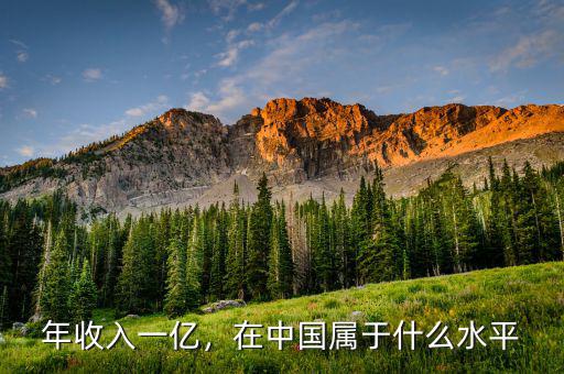 年收入一億，在中國(guó)屬于什么水平