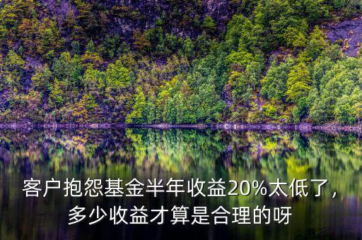 客戶抱怨基金半年收益20%太低了，多少收益才算是合理的呀
