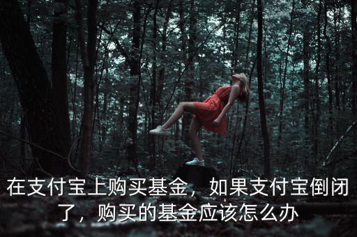 在支付寶上購買基金，如果支付寶倒閉了，購買的基金應(yīng)該怎么辦