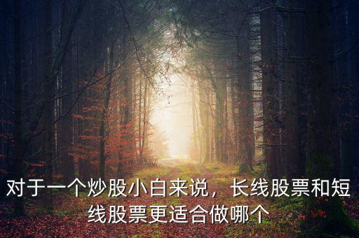 對于一個炒股小白來說，長線股票和短線股票更適合做哪個