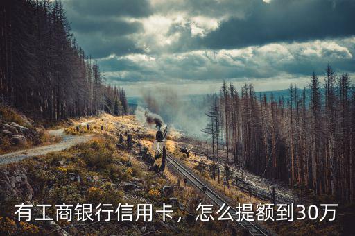 有工商銀行信用卡，怎么提額到30萬