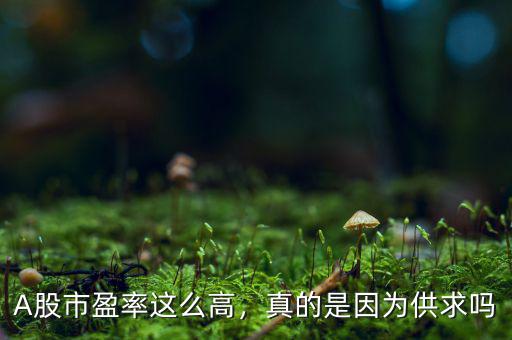 A股市盈率這么高，真的是因為供求嗎