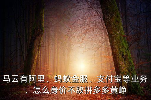 馬云有阿里、螞蟻金服、支付寶等業(yè)務(wù)，怎么身價不敵拼多多黃崢