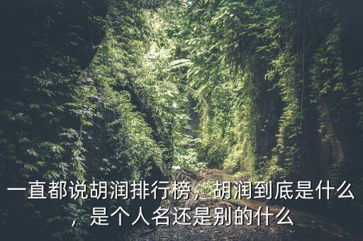 一直都說胡潤排行榜，胡潤到底是什么，是個人名還是別的什么