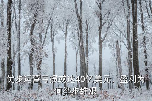 優(yōu)步運(yùn)營(yíng)虧損或達(dá)40億美元，盈利為何舉步維艱