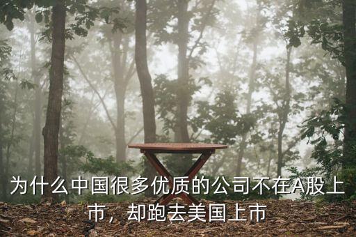 為什么中國很多優(yōu)質(zhì)的公司不在A股上市，卻跑去美國上市