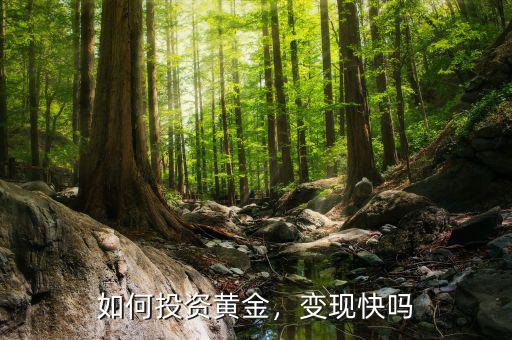 如何投資黃金，變現(xiàn)快嗎