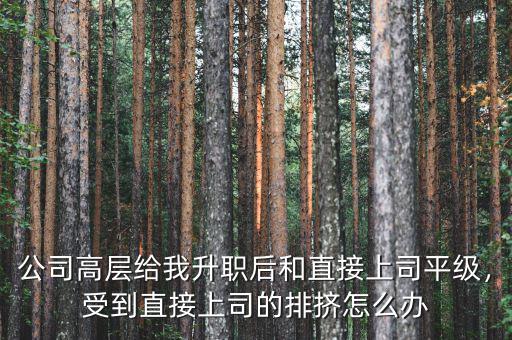 公司高層給我升職后和直接上司平級(jí)，受到直接上司的排擠怎么辦