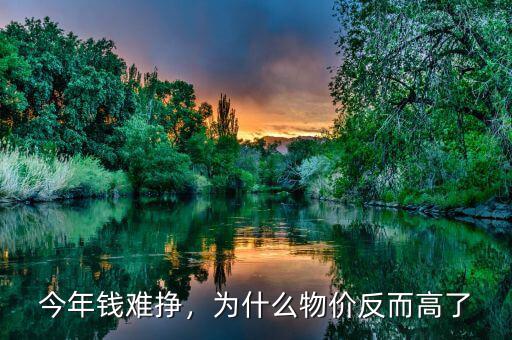 今年錢難掙，為什么物價(jià)反而高了