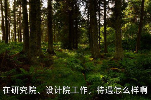 在研究院、設計院工作，待遇怎么樣啊