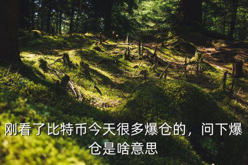 剛看了比特幣今天很多爆倉的，問下爆倉是啥意思