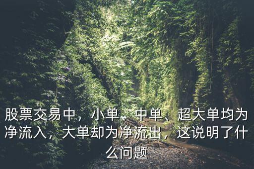 股票交易中，小單、中單、超大單均為凈流入，大單卻為凈流出，這說(shuō)明了什么問(wèn)題